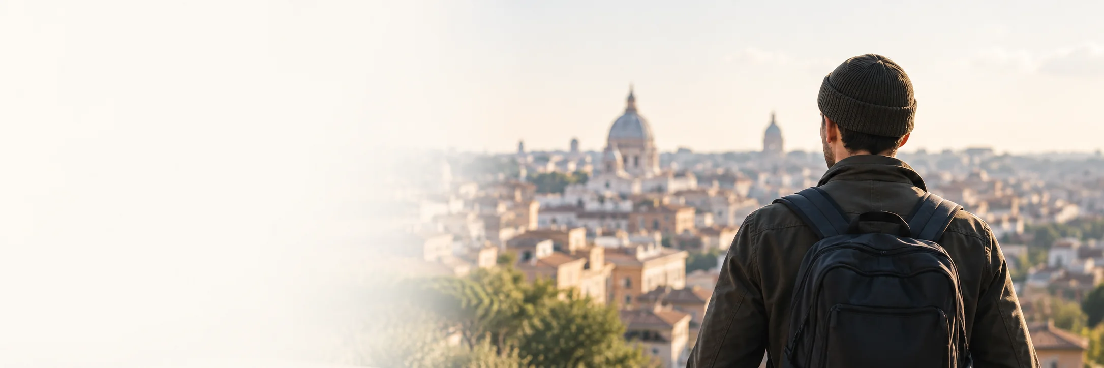 A person overlooking a city